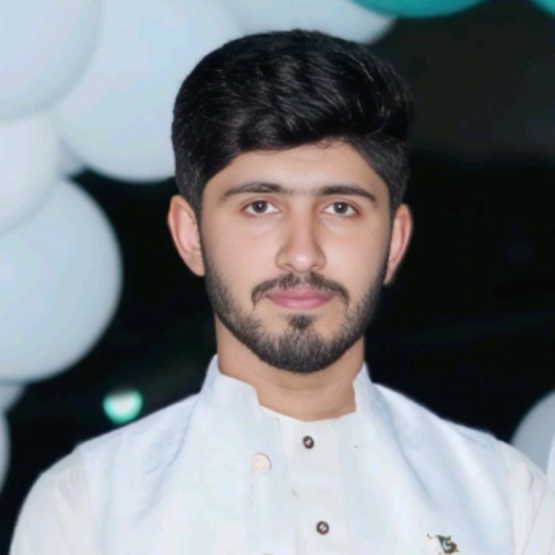 Senior {Full Stack}Developer